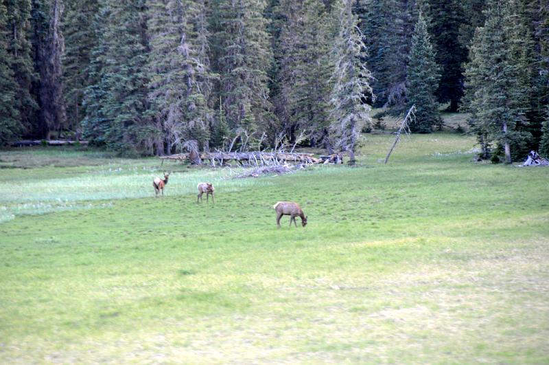 1006111906-Baldy 085.jpg